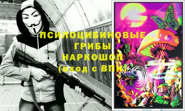 PSILOCYBIN Михайлов