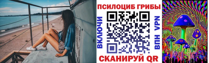 Галлюциногенные грибы Cubensis закладка Покровск